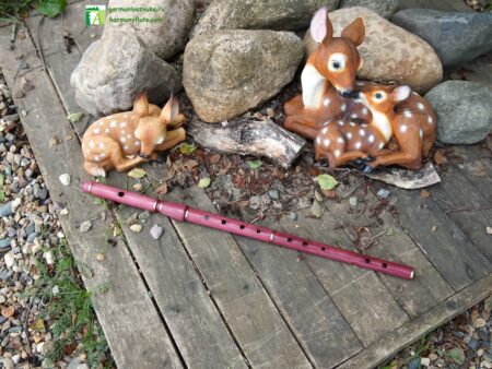 Открытия и наблюдения о флейте