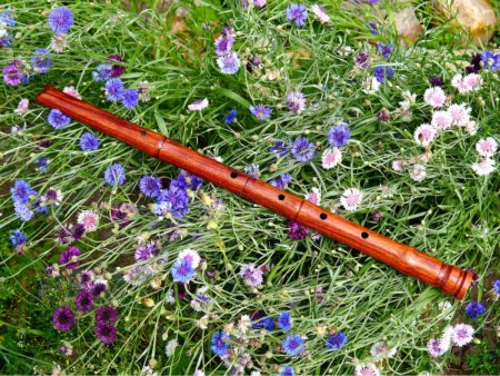 Флейта – источник здорового образа жизни