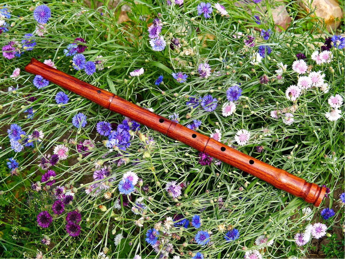 Флейта – источник здорового образа жизни