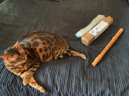 Кот и Средневековая флейта