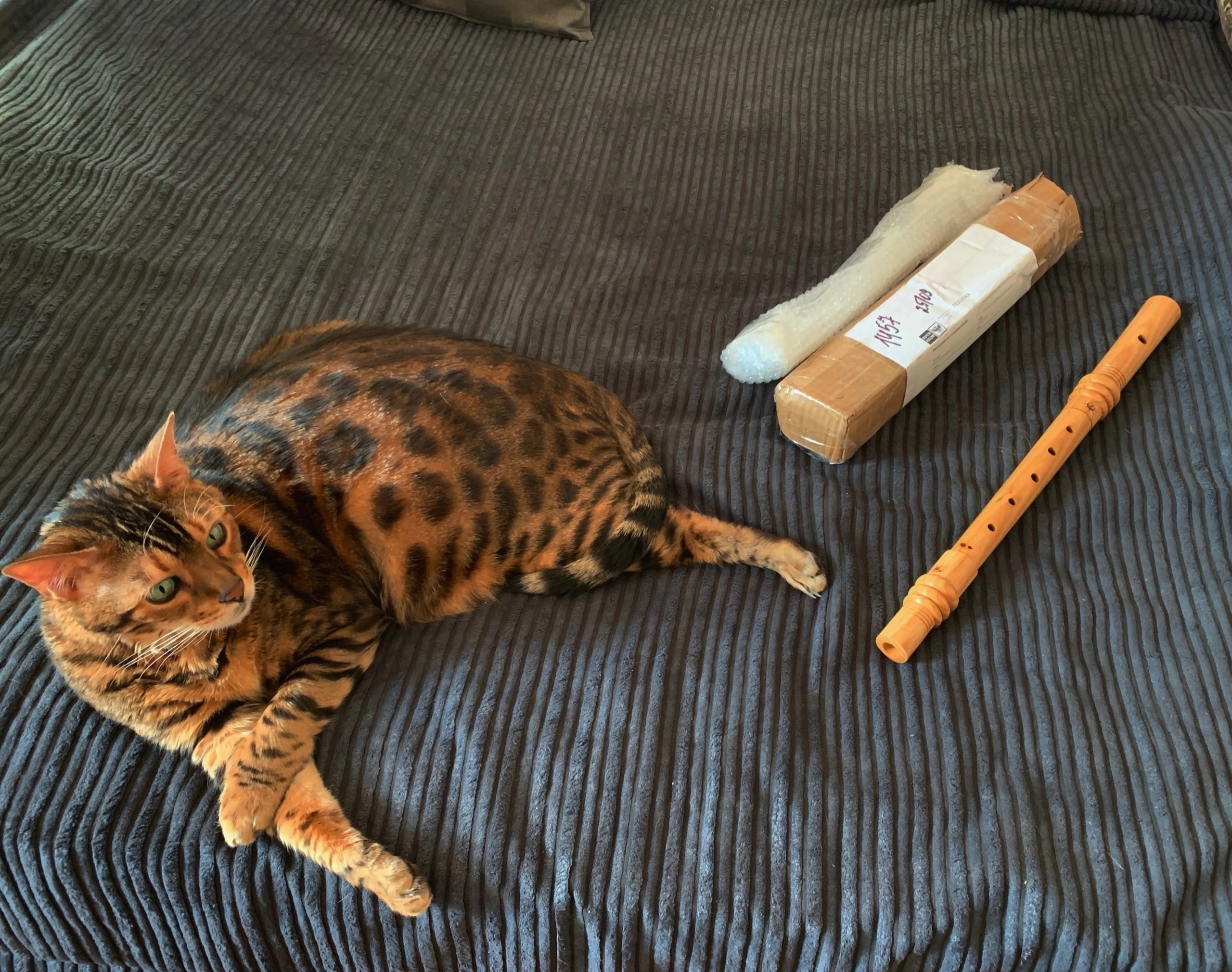 Оплата и доставка