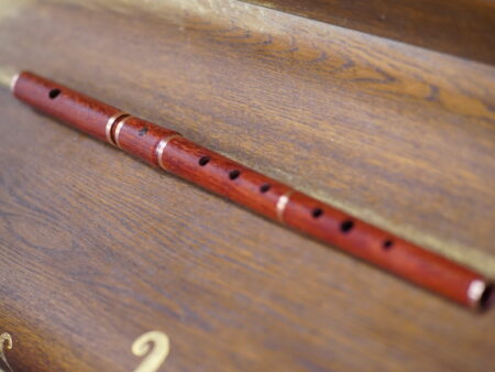 Daisy O’Shea и её новая флейта